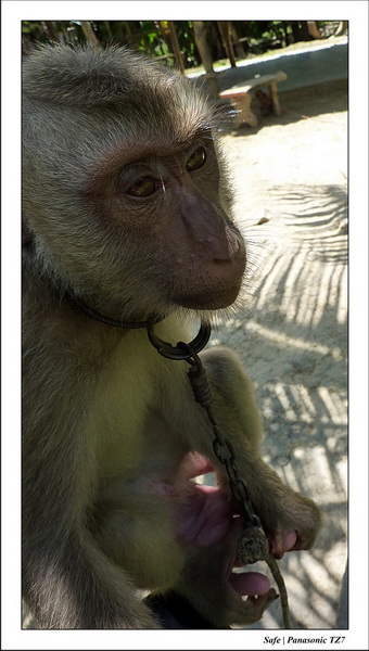 2012 - 03 - Koh Lanta 15